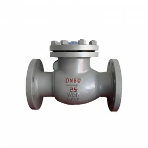 DN50 PN25 介質：甲胺，溫度：80℃止回閥